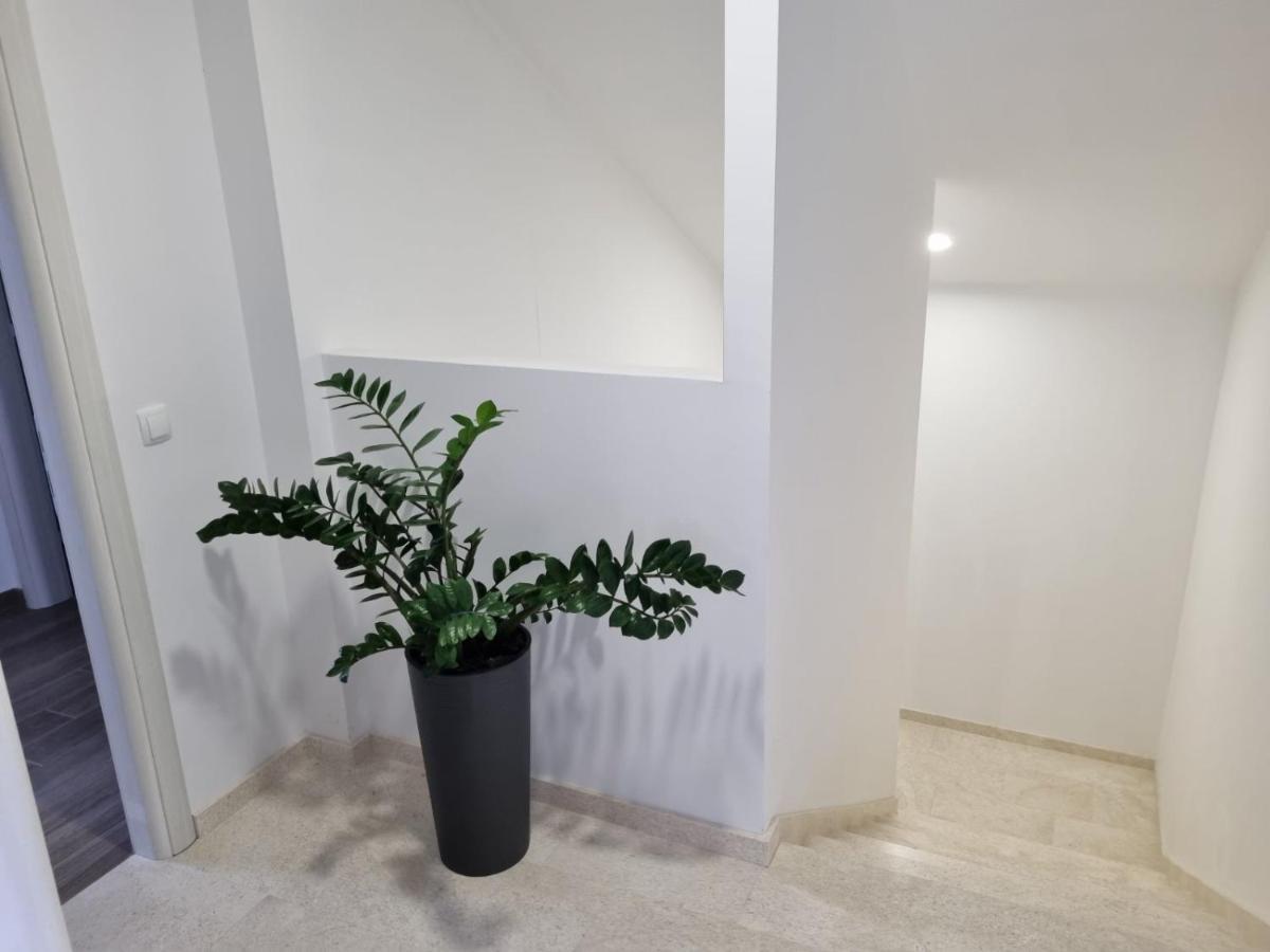Apartmani Tolj Μακάρσκα Εξωτερικό φωτογραφία